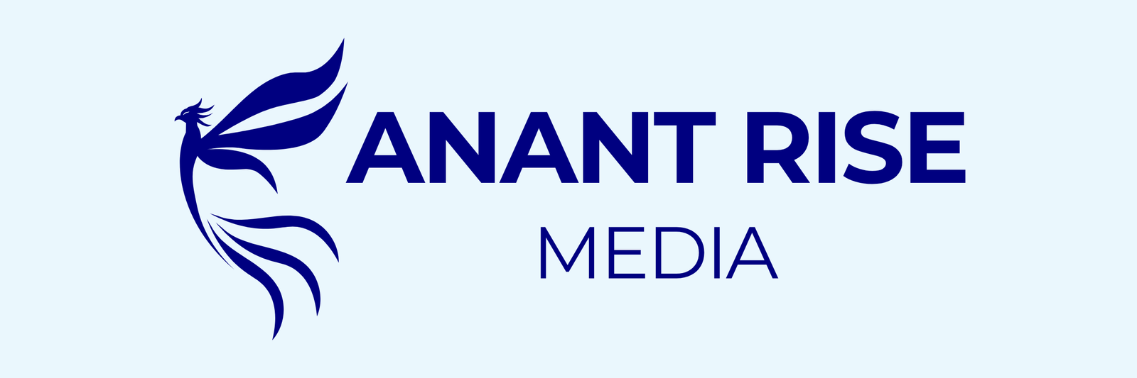 Logo Anant Rise Media